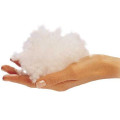 Холлофайбер